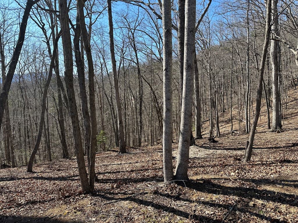 Lot 55 Asheland Cove, Young Harris GA 30582 - Photo