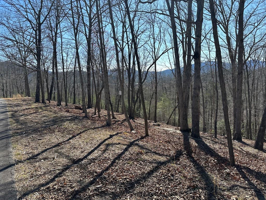 Lot 55 Asheland Cove, Young Harris GA 30582 - Photo