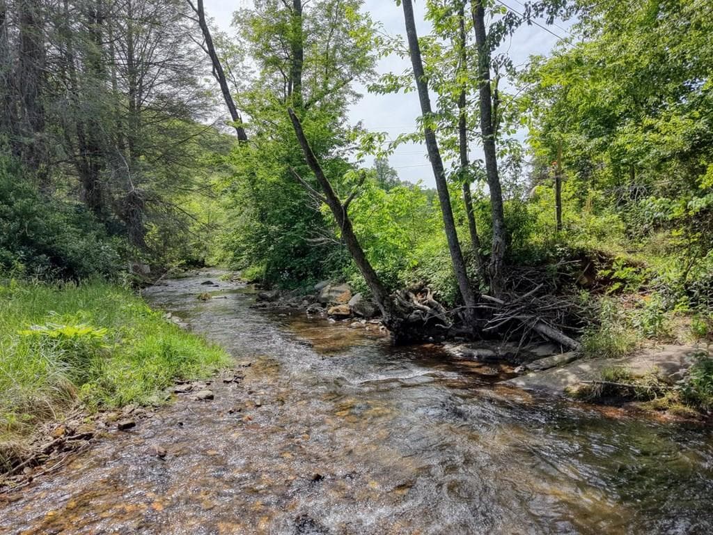 4706 Swallows Creek Road, Hiawassee GA 30546 - Primary photo