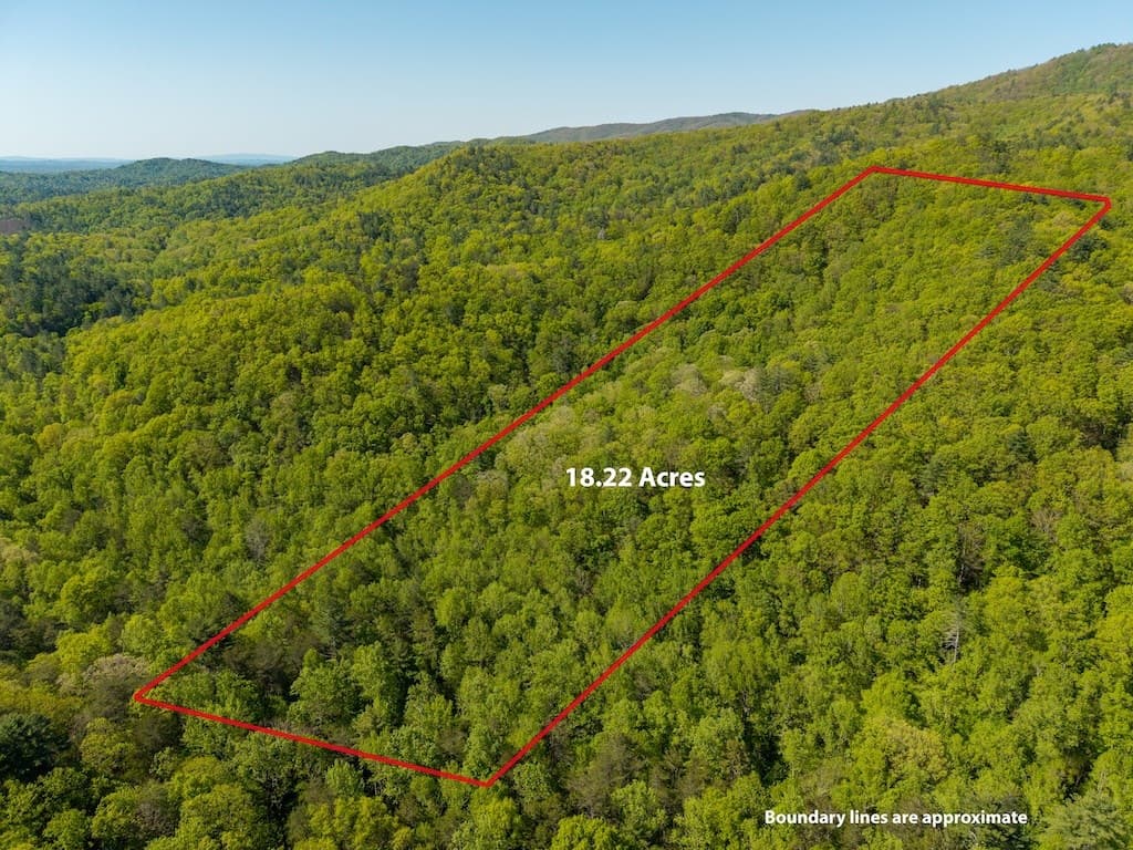 TR 1 Pleasant Hill Trail, Ellijay GA 30540 - Photo