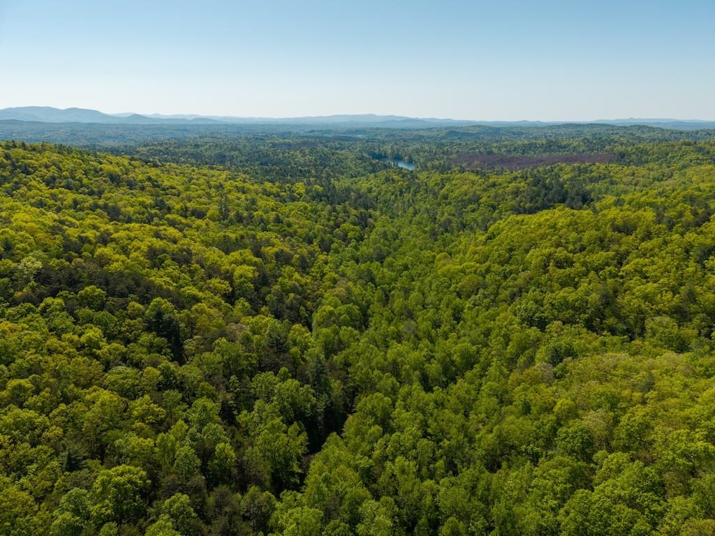 TR 1 Pleasant Hill Trail, Ellijay GA 30540 - Photo