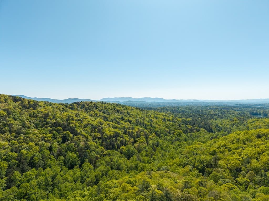 TR 1 Pleasant Hill Trail, Ellijay GA 30540 - Photo