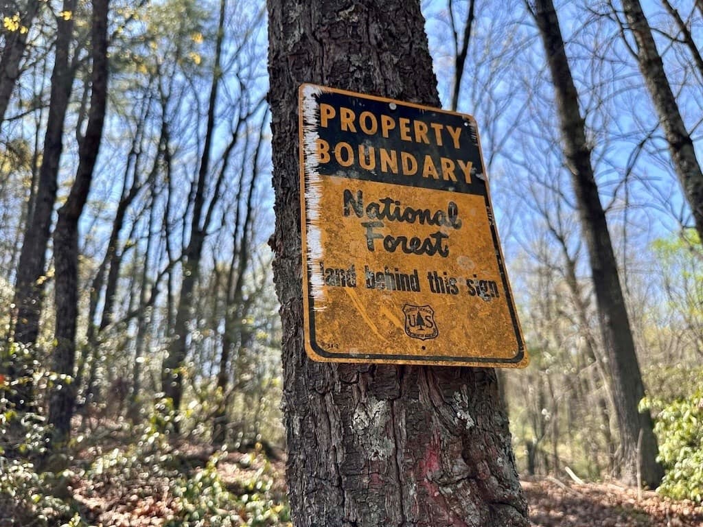 TR 1 Pleasant Hill Trail, Ellijay GA 30540 - Photo