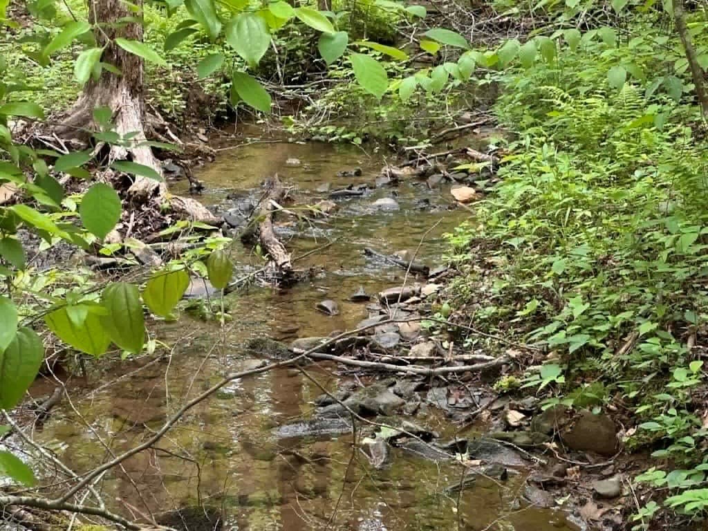 TR 1 Pleasant Hill Trail, Ellijay GA 30540 - Photo