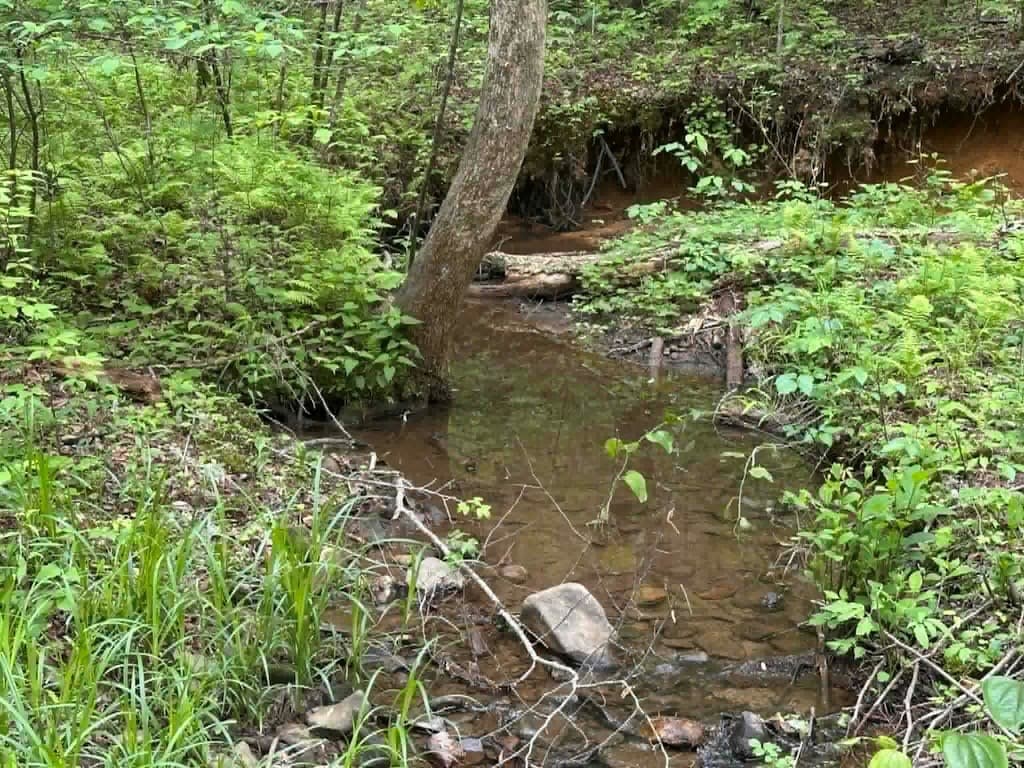 TR 1 Pleasant Hill Trail, Ellijay GA 30540 - Photo