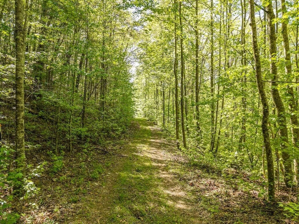 TR 1 Pleasant Hill Trail, Ellijay GA 30540 - Photo