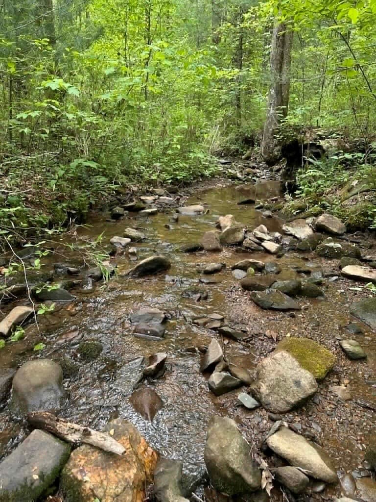 TR 1 Pleasant Hill Trail, Ellijay GA 30540 - Photo