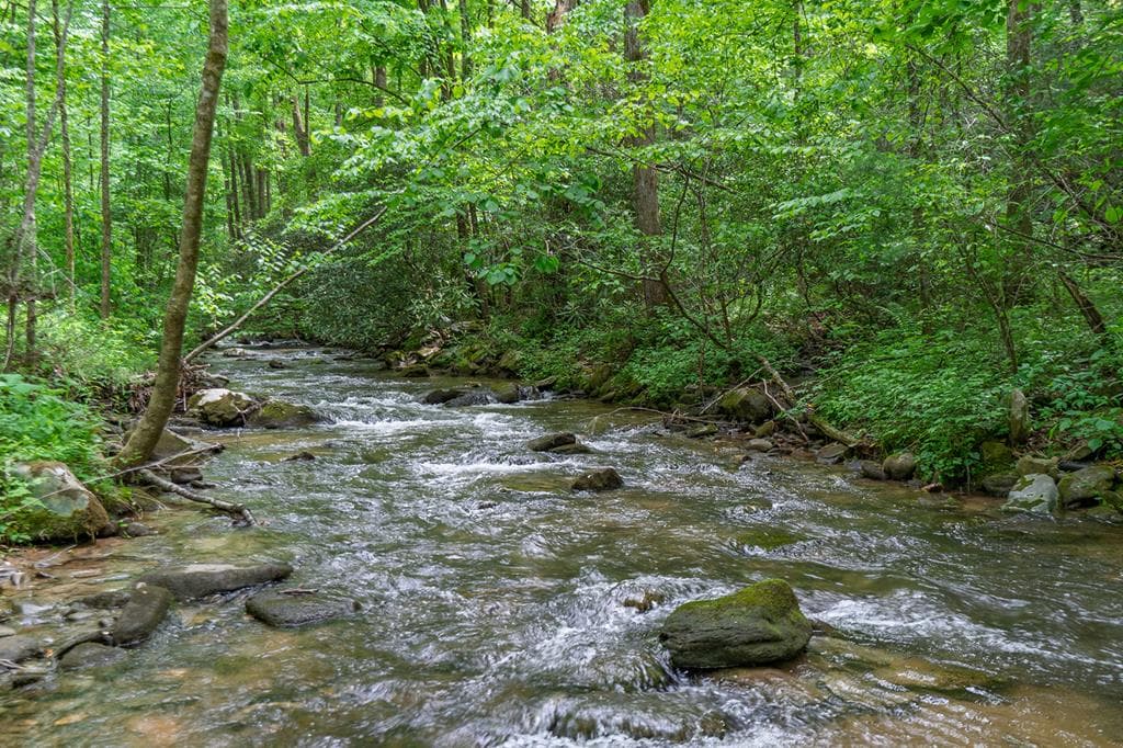 740 Little Rock Creek Road, Cherry Log GA 30522 - Photo