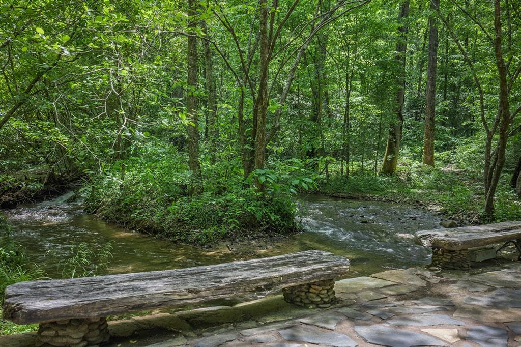 740 Little Rock Creek Road, Cherry Log GA 30522 - Photo