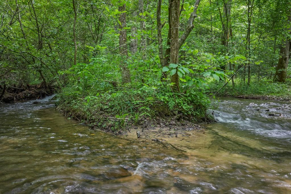 740 Little Rock Creek Road, Cherry Log GA 30522 - Photo