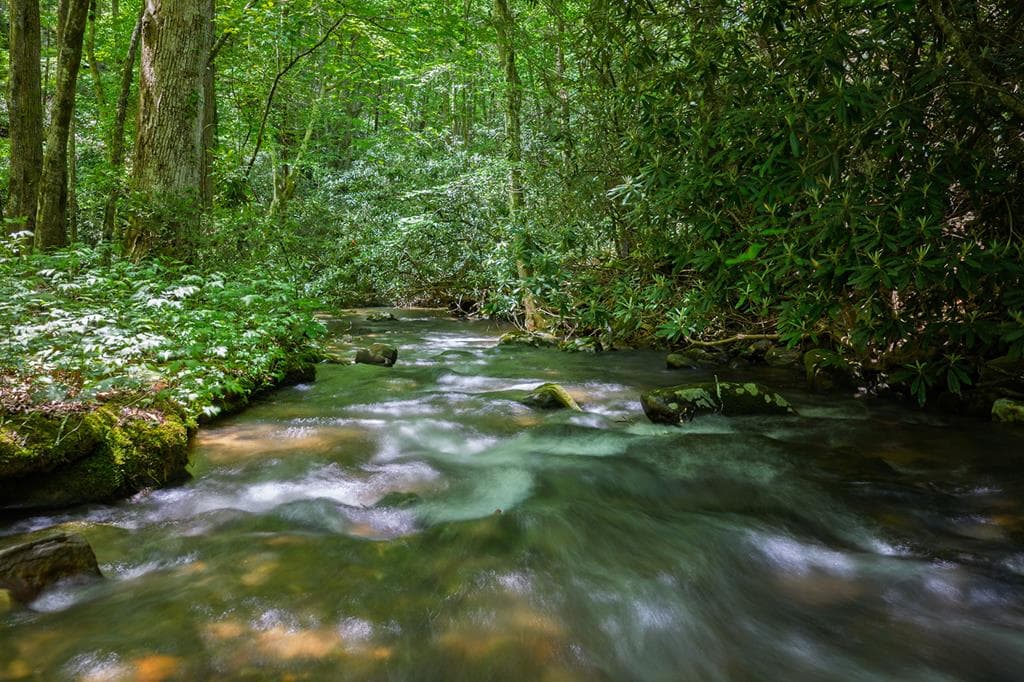740 Little Rock Creek Road, Cherry Log GA 30522 - Photo