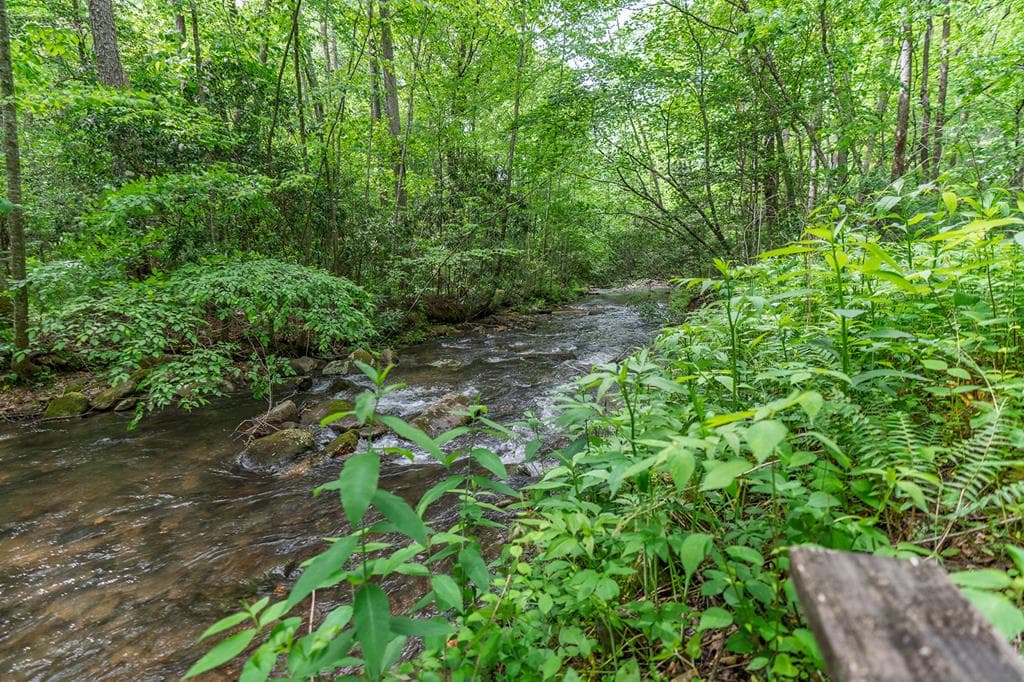 740 Little Rock Creek Road, Cherry Log GA 30522 - Photo