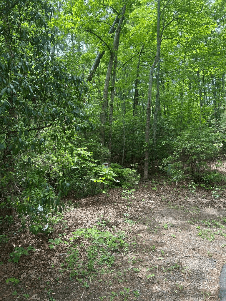 00 Sierra Springs Drive, Murphy NC 28906 - Photo