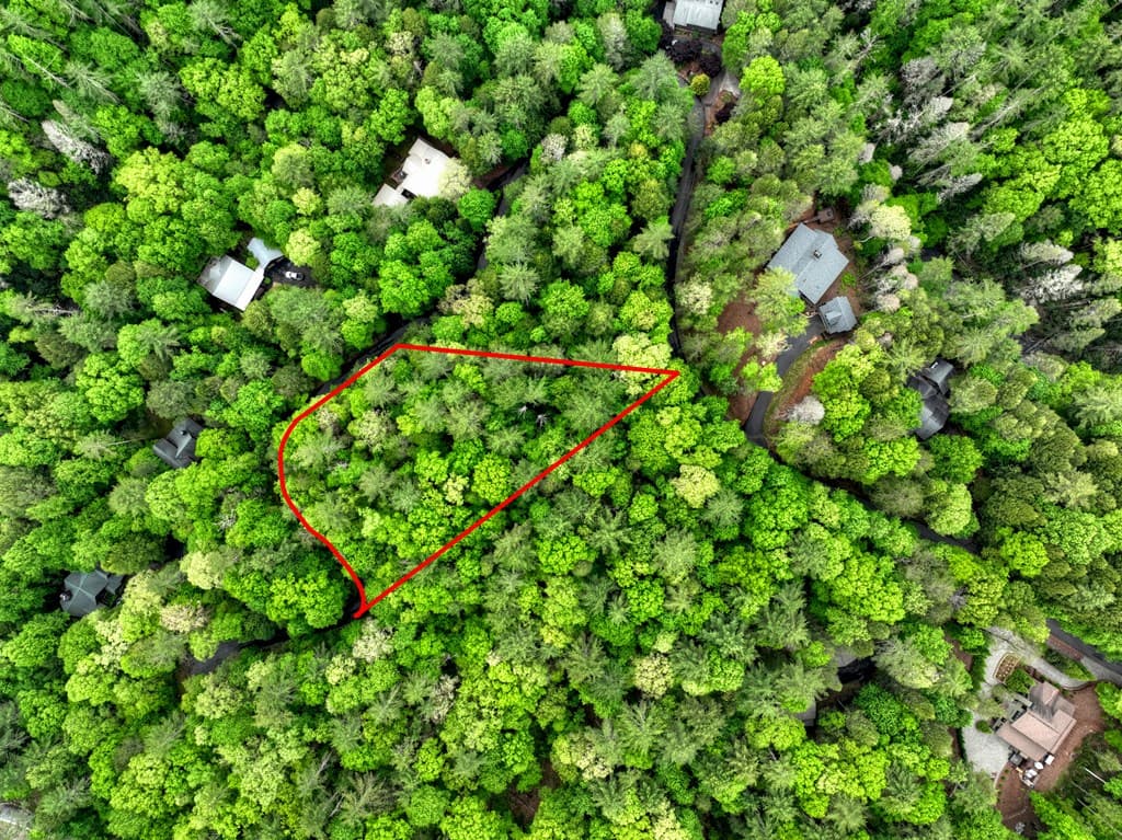 300 River Road, Cherry Log GA 30522 - Photo
