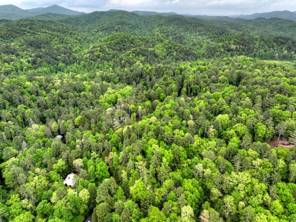 300 River Road, Cherry Log GA 30522 - Photo