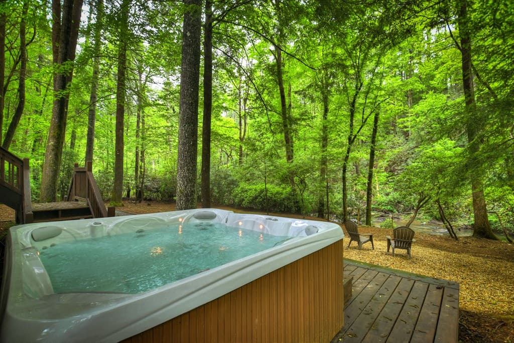 300 River Road, Cherry Log GA 30522 - Photo