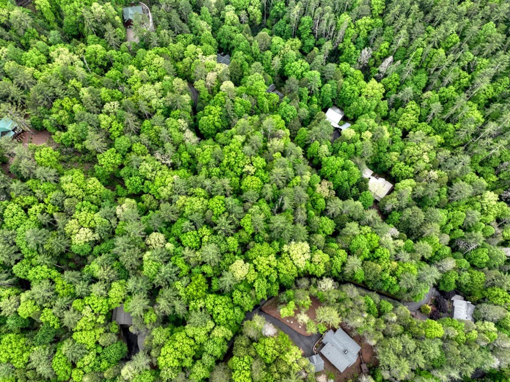 300 River Road, Cherry Log GA 30522 - Photo
