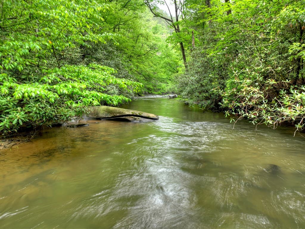 300 River Road, Cherry Log GA 30522 - Photo