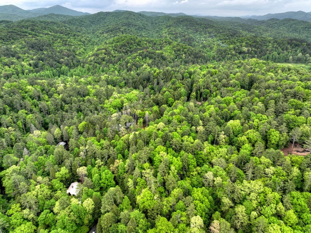 300 River Road, Cherry Log GA 30522 - Photo