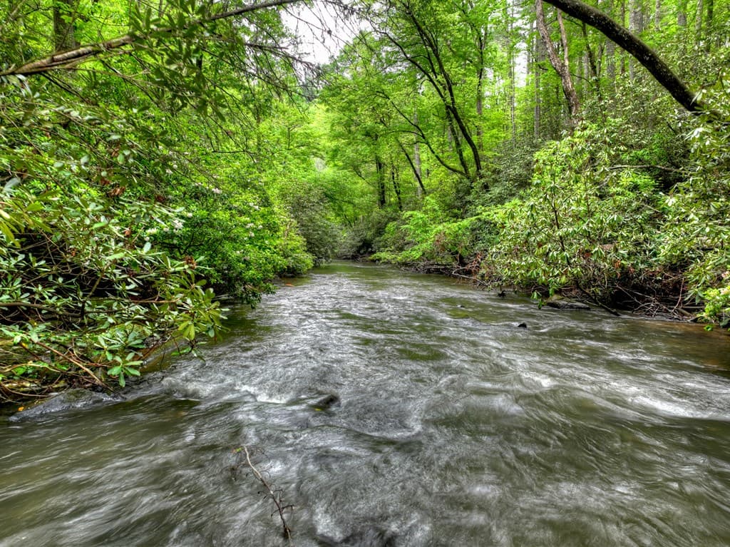 300 River Road, Cherry Log GA 30522 - Photo