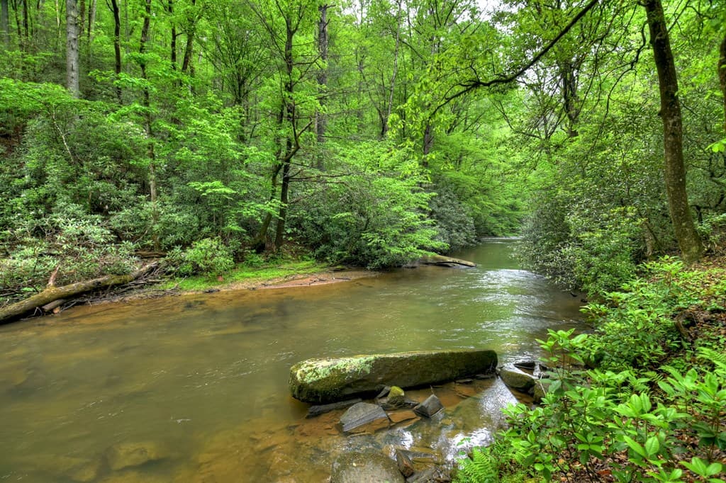 300 River Road, Cherry Log GA 30522 - Photo