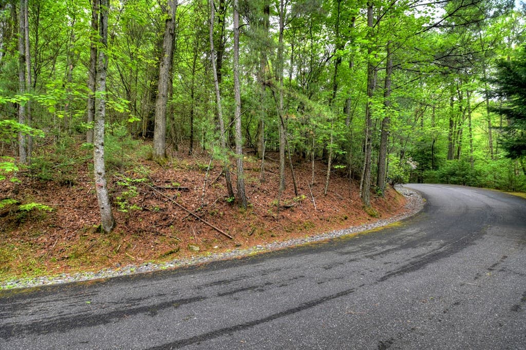 300 River Road, Cherry Log GA 30522 - Photo