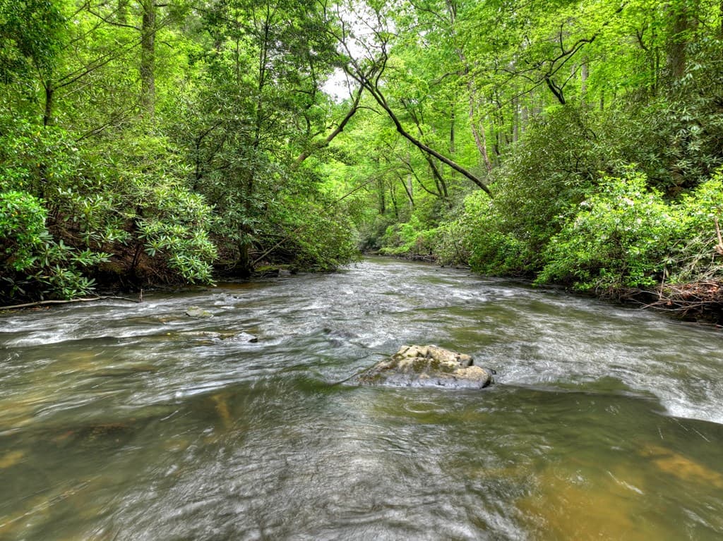 300 River Road, Cherry Log GA 30522 - Photo