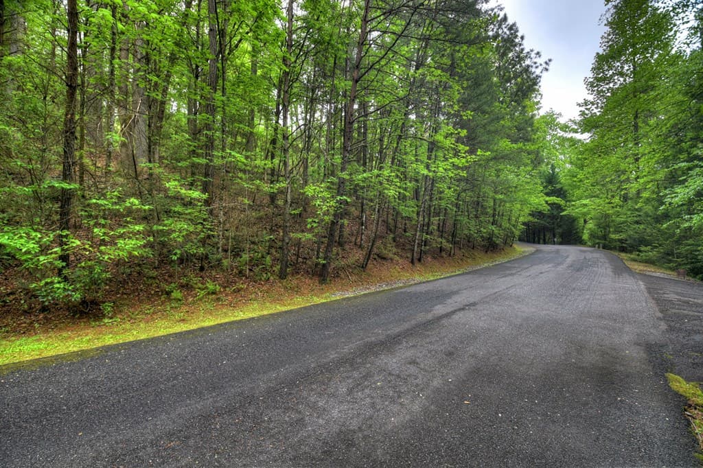 300 River Road, Cherry Log GA 30522 - Photo