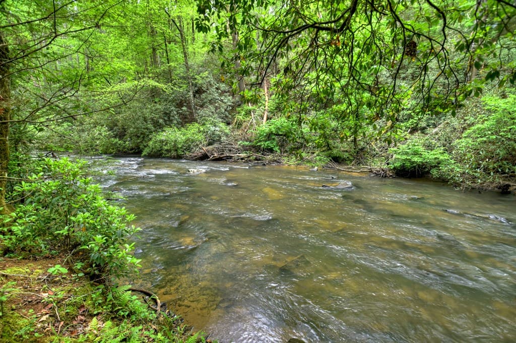 300 River Road, Cherry Log GA 30522 - Photo