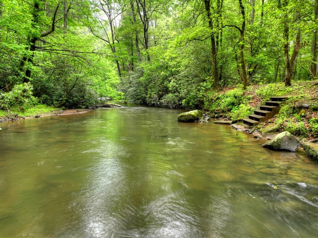 300 River Road, Cherry Log GA 30522 - Photo