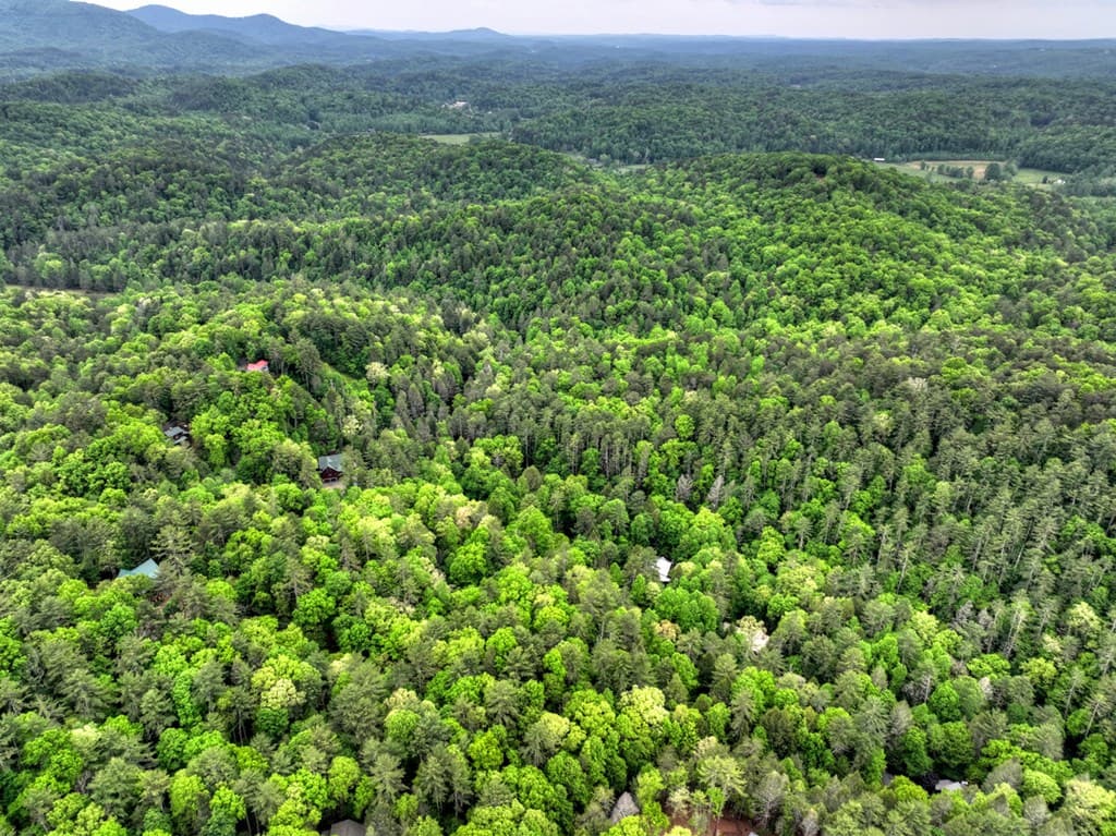 300 River Road, Cherry Log GA 30522 - Photo