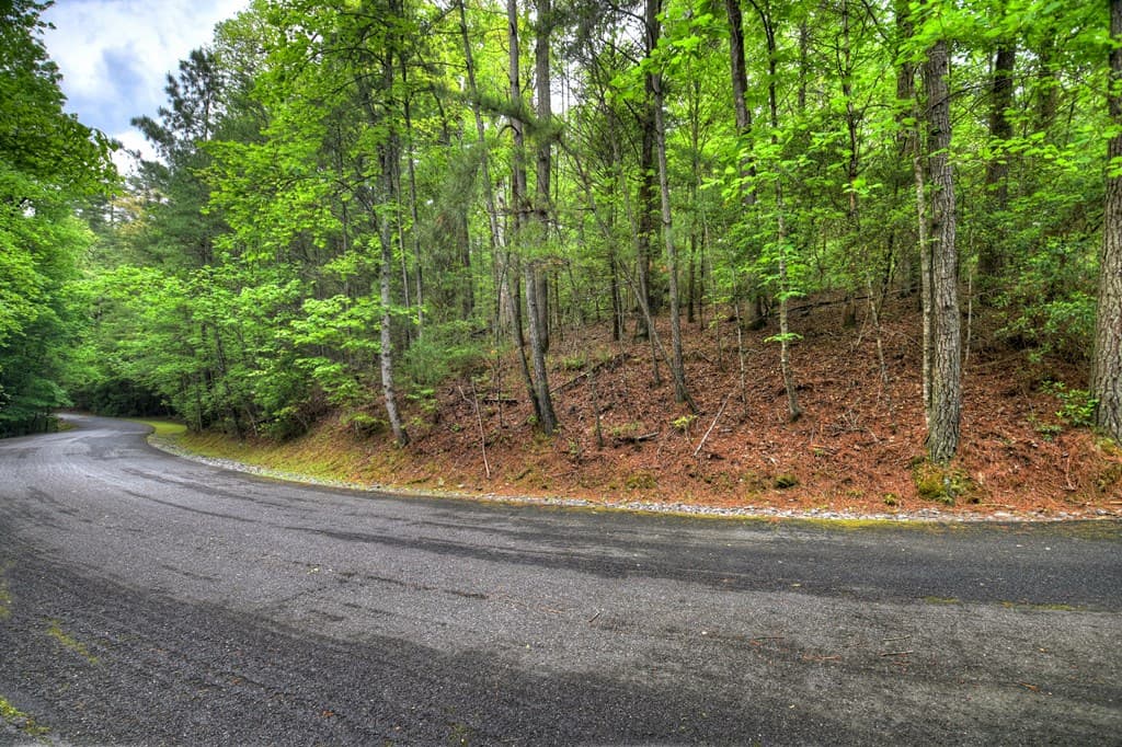 300 River Road, Cherry Log GA 30522 - Photo