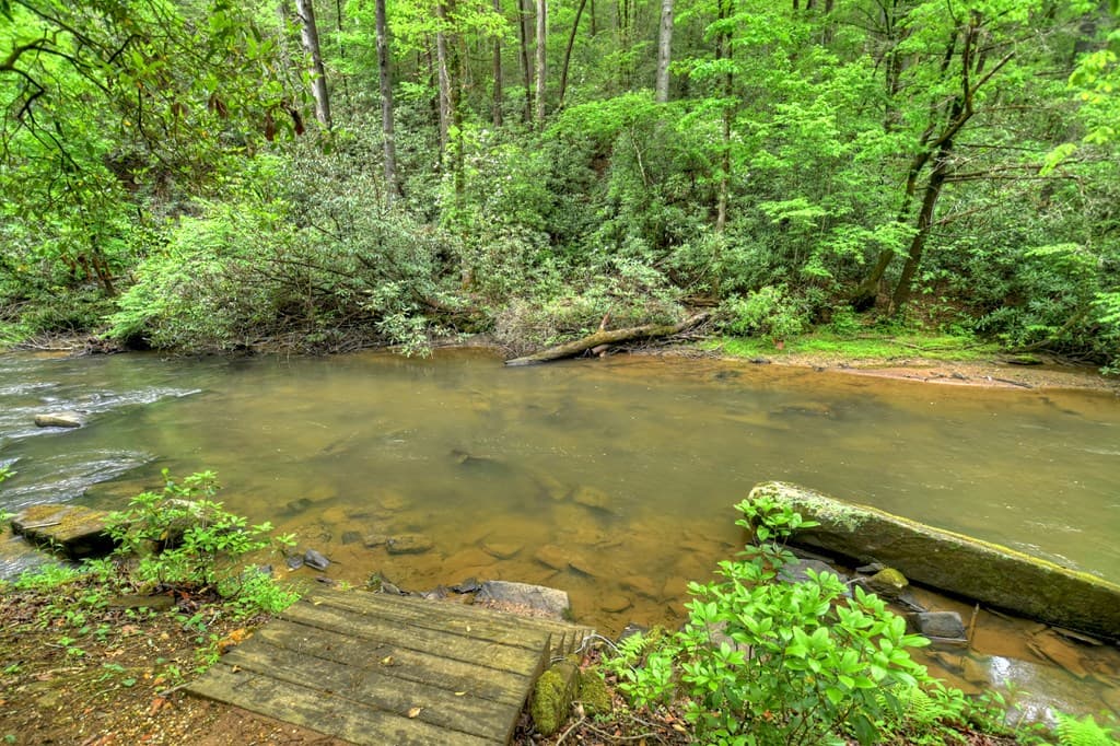 300 River Road, Cherry Log GA 30522 - Photo