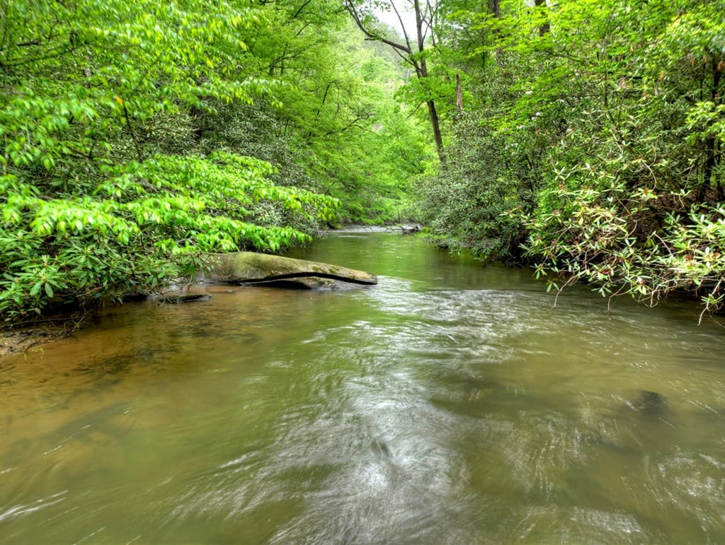 300 River Road, Cherry Log GA 30522 - Photo