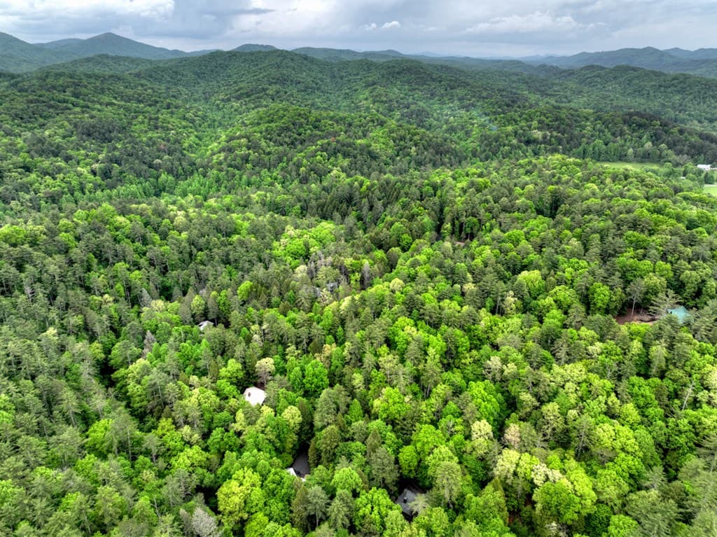 300 River Road, Cherry Log GA 30522 - Photo