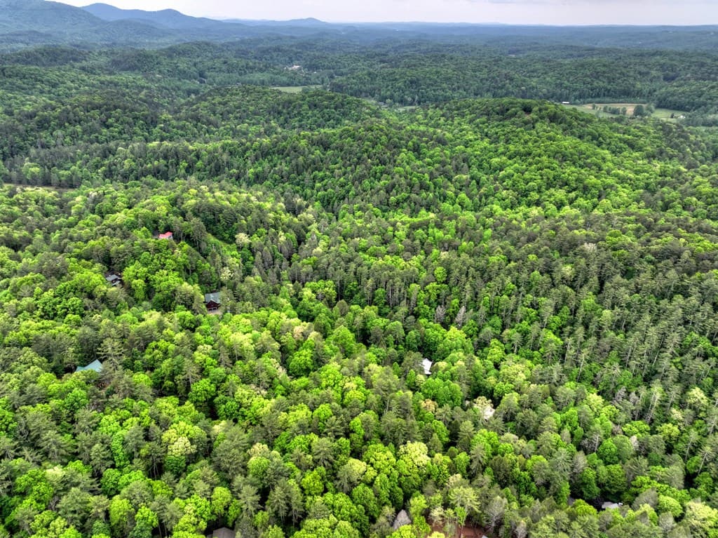 300 River Road, Cherry Log GA 30522 - Photo