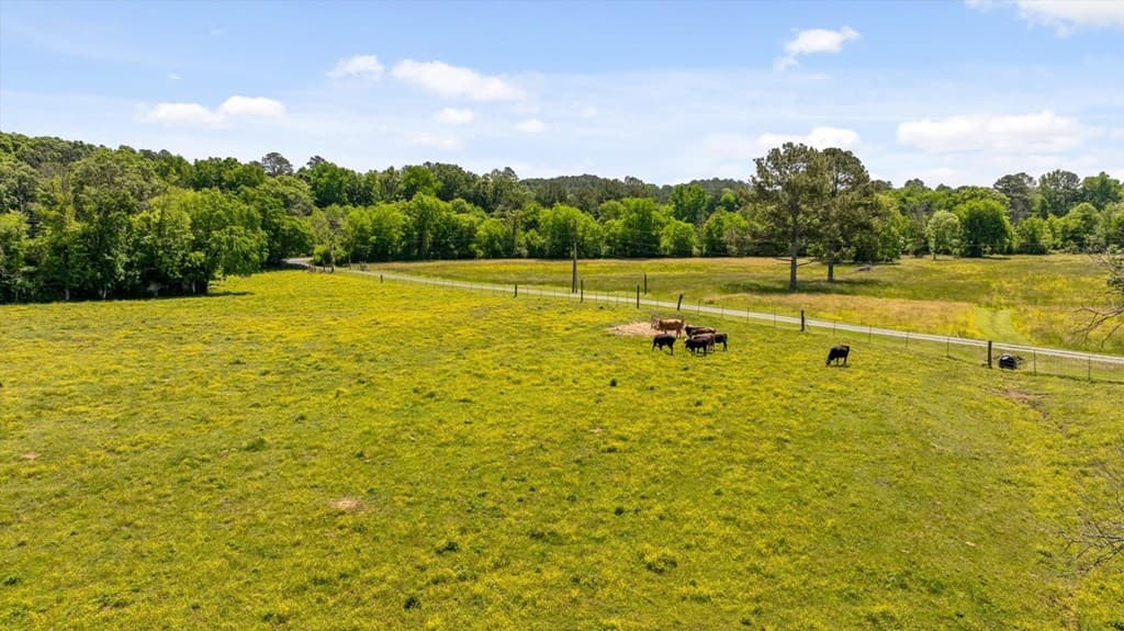 446 Brown Bridge Road, Chatsworth GA 30705 - Photo