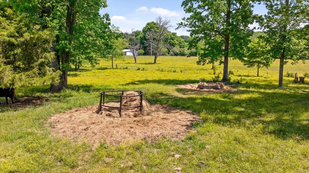 446 Brown Bridge Road, Chatsworth GA 30705 - Photo