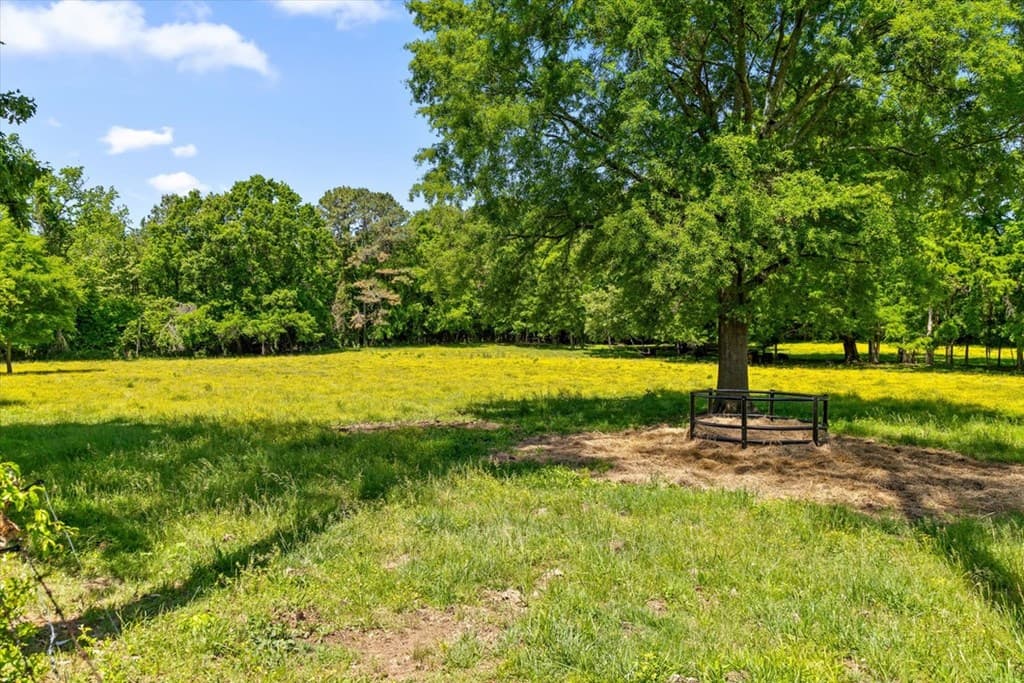 446 Brown Bridge Road, Chatsworth GA 30705 - Photo