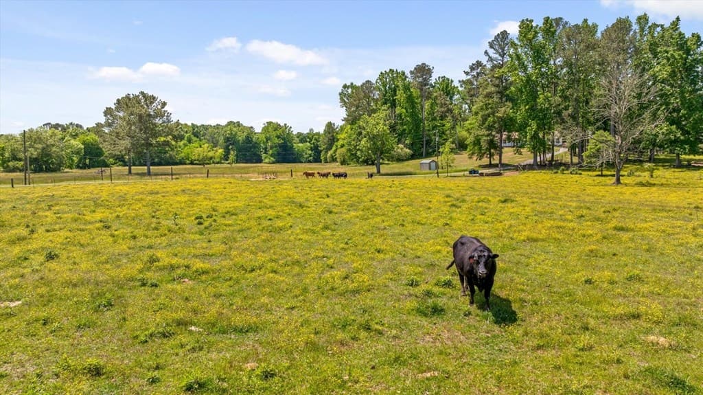446 Brown Bridge Road, Chatsworth GA 30705 - Photo