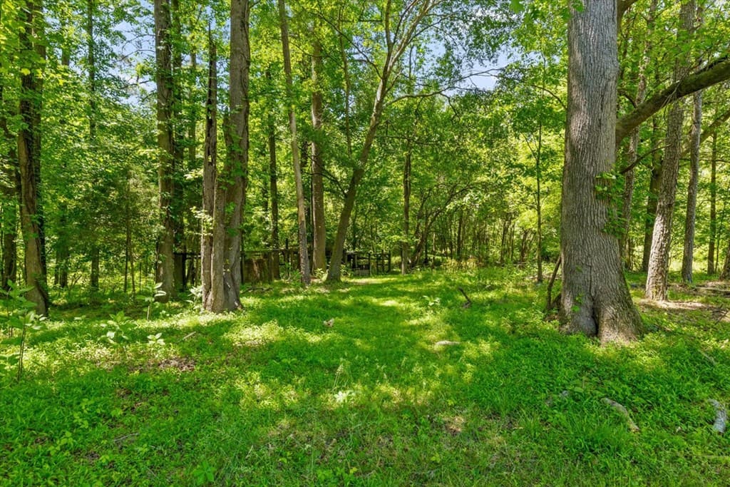 446 Brown Bridge Road, Chatsworth GA 30705 - Photo