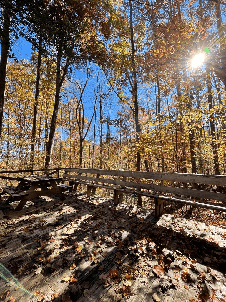 1574 Long Ridge Road, Hiawassee GA 30546 - Photo