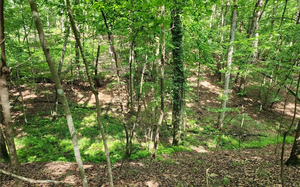 0 Oneida Circle, Ellijay GA 30540 - Photo