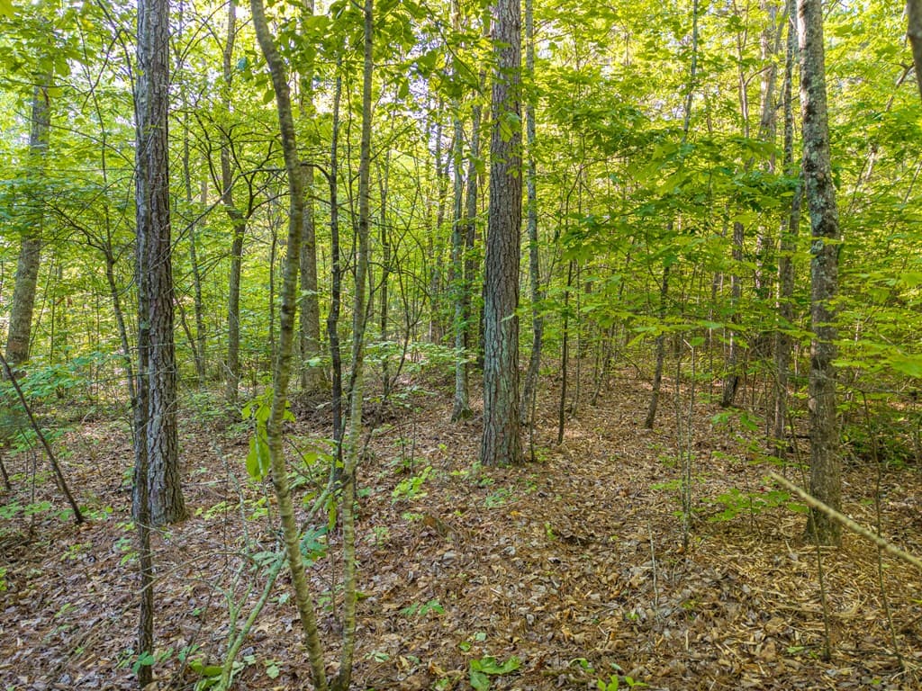 Lt 42 Harris Creek Drive, Ellijay GA 30540 - Photo