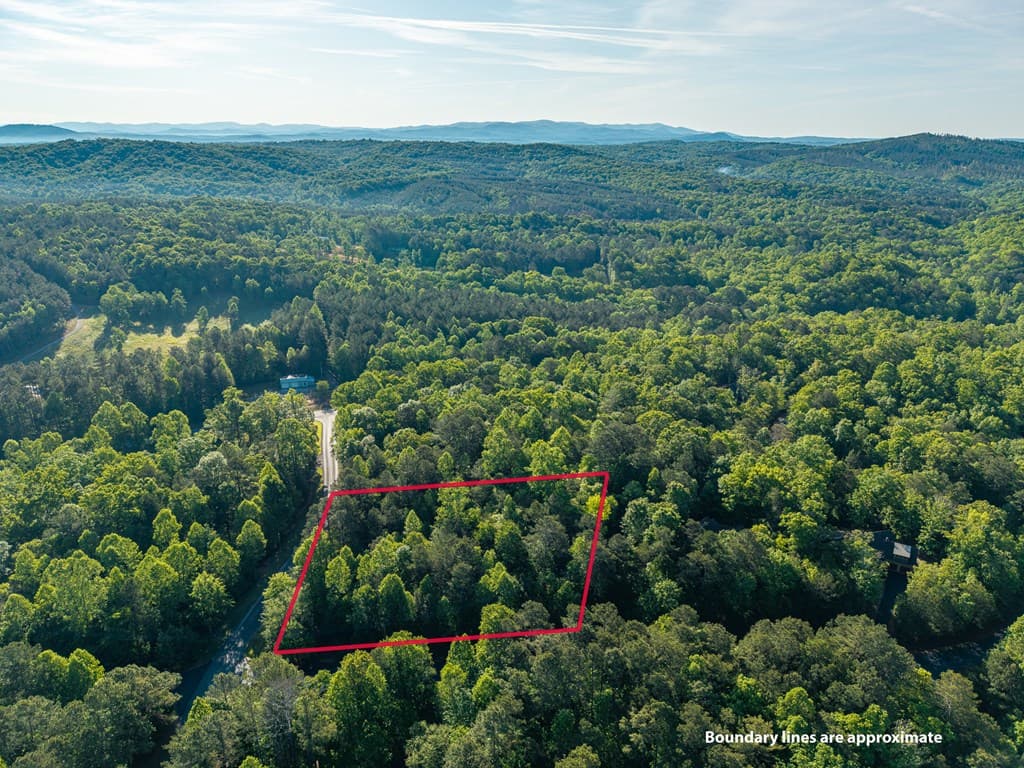 Lt 42 Harris Creek Drive, Ellijay GA 30540 - Photo