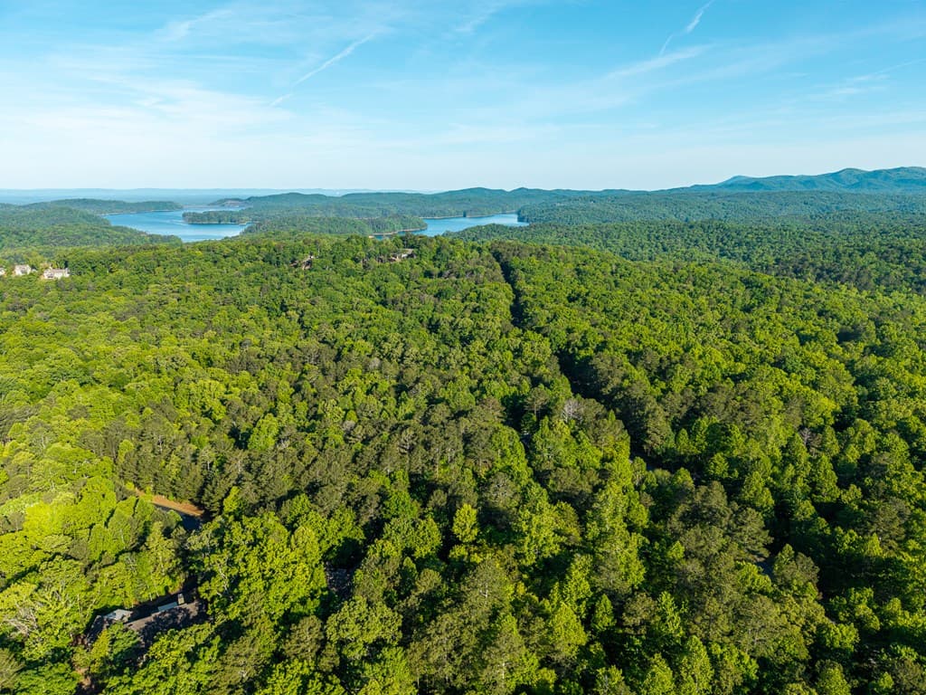 Lt 42 Harris Creek Drive, Ellijay GA 30540 - Photo