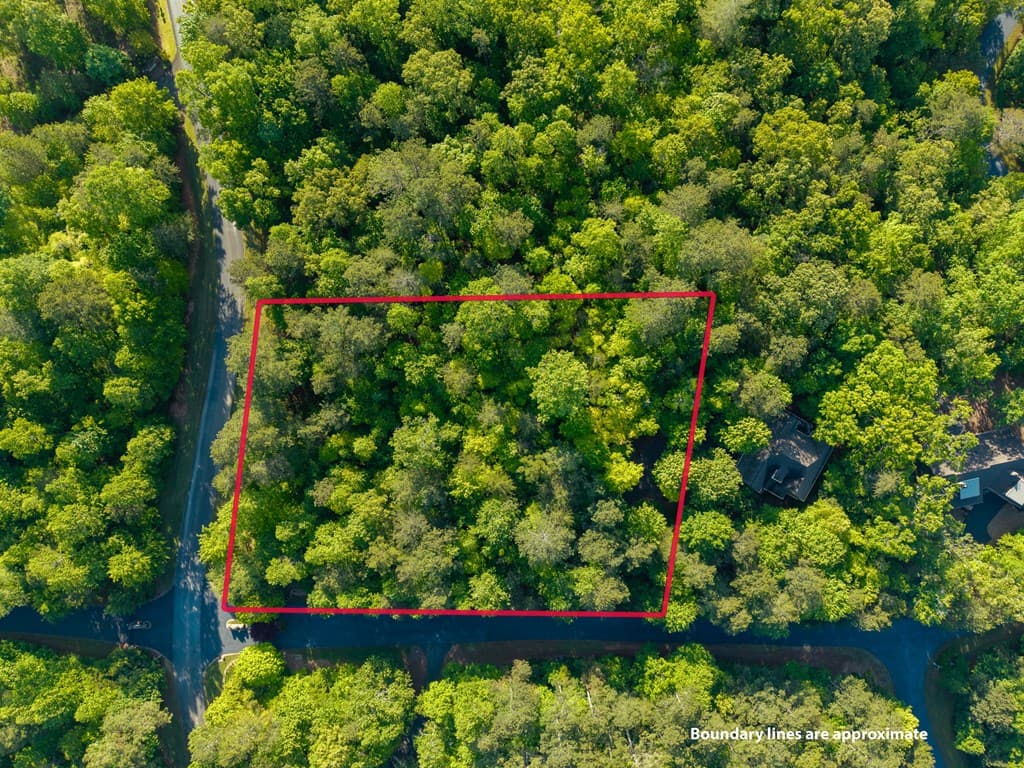 Lt 42 Harris Creek Drive, Ellijay GA 30540 - Photo