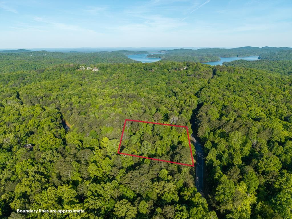 Lt 42 Harris Creek Drive, Ellijay GA 30540 - Primary photo