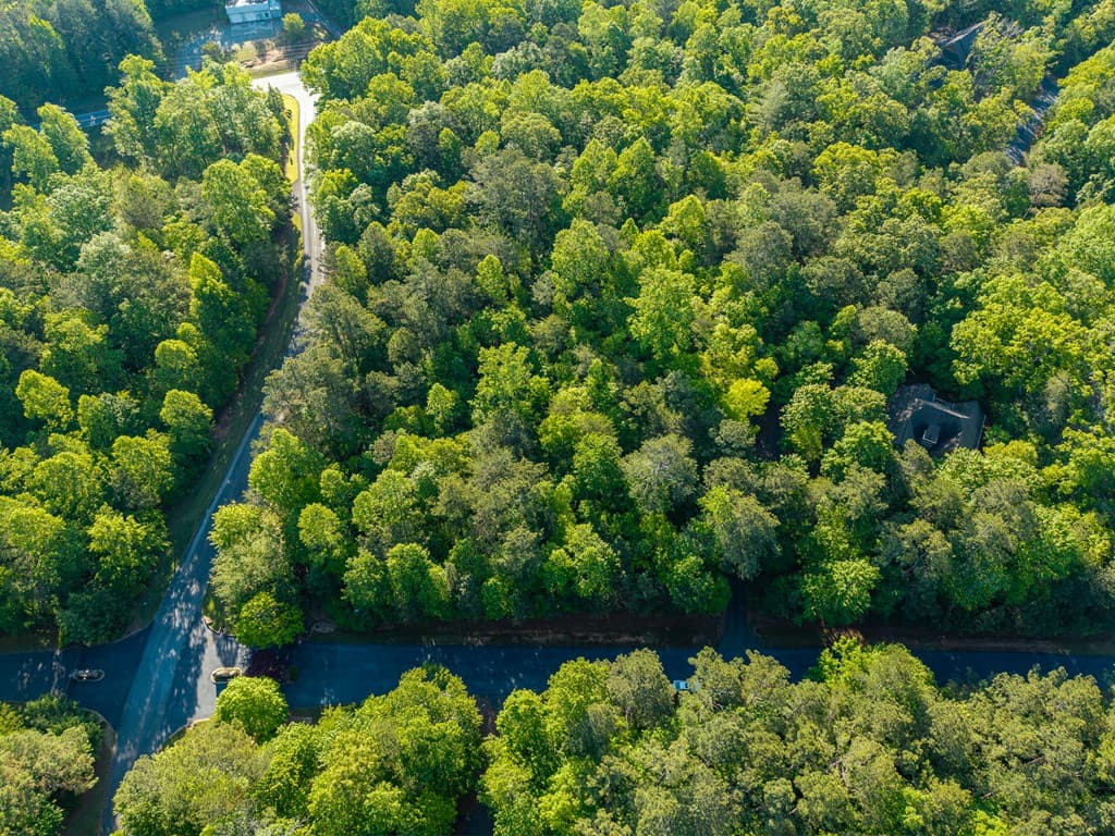 Lt 42 Harris Creek Drive, Ellijay GA 30540 - Photo
