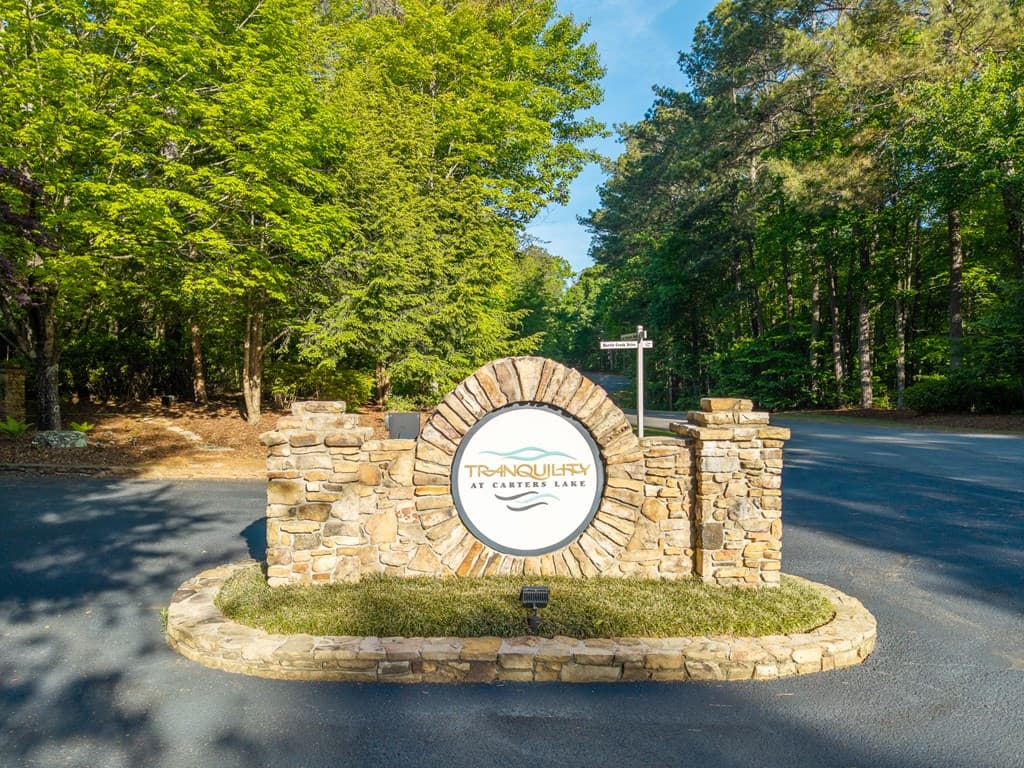 Lt 42 Harris Creek Drive, Ellijay GA 30540 - Photo